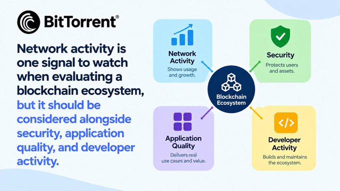 A BitTorrent infographic states 'Network activity is one signal to watch when evaluating a blockchain ecosystem, but it should be considered alongside security, application quality, and developer activity,' showing four pillars around a Blockchain Ecosystem center.