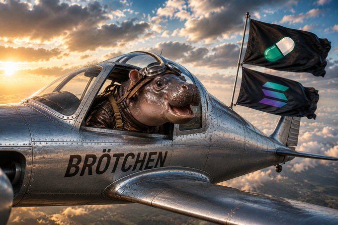 A hippo pilot wearing goggles flies a fighter jet labeled "BRÖTCHEN," with flags bearing a pill emoji and a logo trailing behind against a sunset sky. The image humorously illustrates the post's point about a founder who built a project from the ground up and then "handed the token over" — like the hippo proudly handing off its airborne jet to the community.