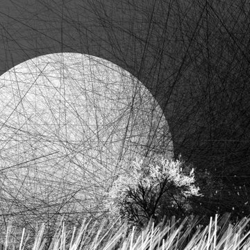 A black and white composite image shows a large moon overlaid with geometric line patterns and foreground grasses and a silhouetted bush.