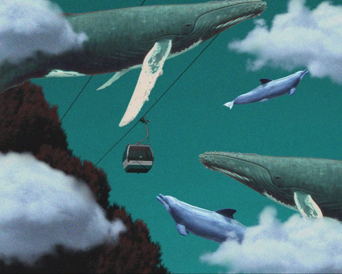 A surreal image showing a cable car suspended between mountains with enormous whales and dolphins swimming through the clouds and sky.