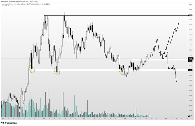 A TradingView candlestick chart of Roundhill Semiconductor (HYPE) ETF showing price action between approximately $40-$95 from June through August 2024, with yellow circles highlighting prior lows near $52 and a black hand-drawn line projecting a potential path upward toward the mid-$60s before revisiting the $50s range. The chart visually supports the post's thesis that HYPE will rally to the mid-$60s before potentially pulling back to the low $50s.