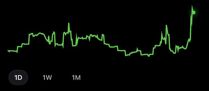 A green intraday (1D) price chart shows volatile movement throughout the session with a dramatic spike near the end, reflecting the excitement and unpredictable momentum of a newly launched chain as suggested by the caption "New chain new fun."