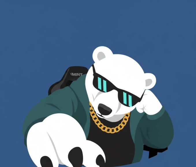 A cartoon polar bear wearing cyan shutter shades and a gold chain, posed in a teal jacket against a blue background.