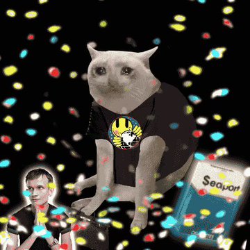 A surreal collage featuring a cat wearing a black t-shirt with a yellow logo in the center, surrounded by floating pills/capsules, with a small portrait of a person and a "Seoul" item at the bottom.