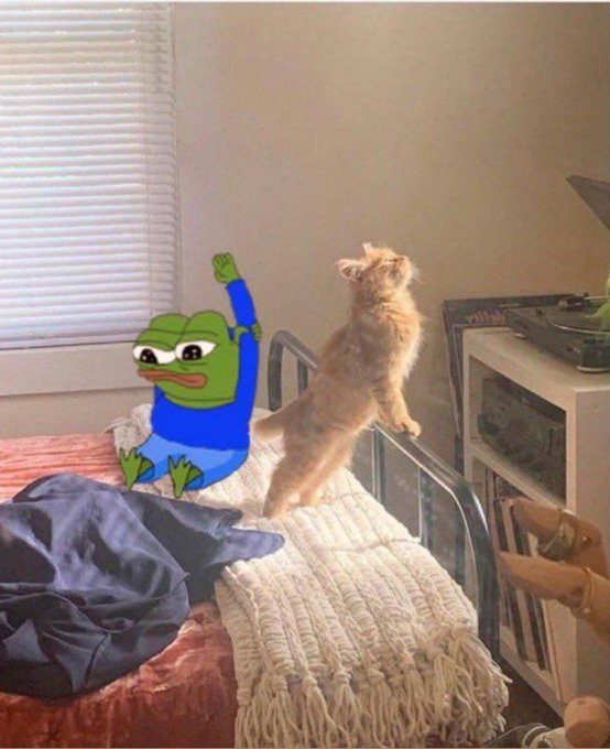 A humorous photo of an orange cat standing upright on a bed with its paw raised, appearing to mimic the classic Pepe the Frog 'raise the roof' pose in a blue shirt.