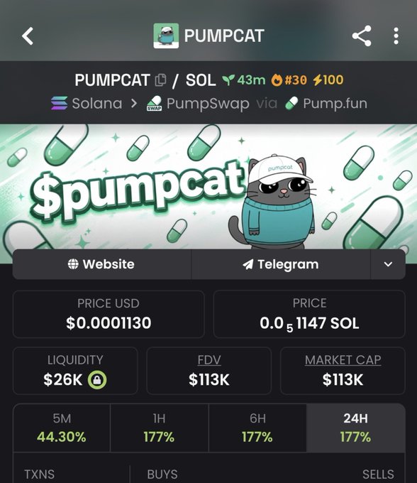 A screenshot of the PUMPCAT token on PumpSwap showing a price of $0.0001130 and market cap of $113K, with gains of 44.30% over 5 minutes and 177% over 24 hours. The image illustrates the post's hype about breaking 100K market cap, as the token has just crossed the $113K mark on its way to the next milestones of 200K and 1M.
