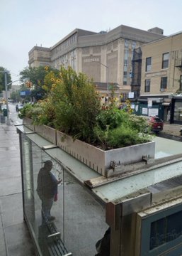 An elevated view of an urban street scene showing a glass-enclosed stairwell entrance topped with a lush rooftop garden of wildflowers and plants, with historic brick buildings in the background.