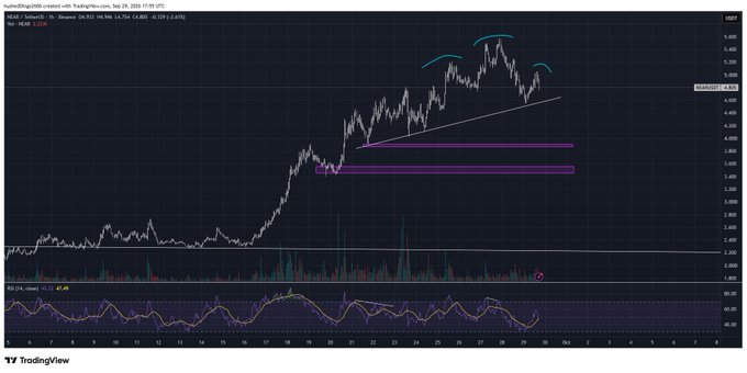 Image shows a TradingView chart of HyzonMotors/WSB stock displaying technical analysis patterns with RSI indicator at the bottom.