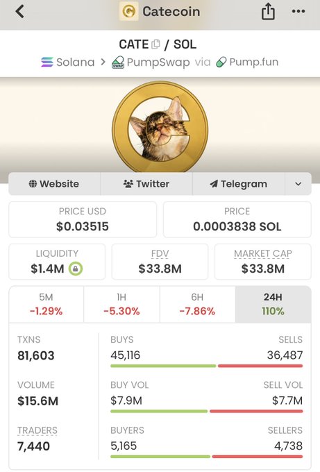 A cryptocurrency tracking page for 'Catecoin' (CATE/SOL) token on the Solana blockchain via PumpSwap/Pump.fun, showing a cat meme logo, price of $0.03515, market cap of $33.8M, and 24H price change of +110%.