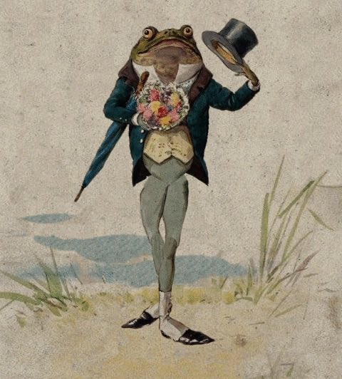 A whimsical illustration depicts an anthropomorphic frog dressed in formal Victorian attire—a teal tailcoat, yellow waistcoat, and top hat—tipped in greeting while holding a bouquet of colorful flowers, evoking a dapper and charming gentleman suitor. The post's claim of finding a "multi billion dollar runner" (a long-awaited beloved or fit) is humorously mirrored by this frog's dapper, ready-to-courtship presentation, suggesting an unexpected or unlikely match that still manages to sweep someone off their feet.