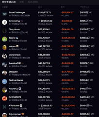 A dark-themed leaderboard displays a list of cryptocurrency traders with their profit and loss in USDC, led by 'SmartChallenger' with over $113 million.