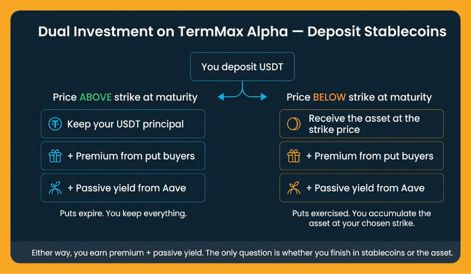 The image is a diagram explaining TermMax Alpha's Dual Investment product, showing that users deposit USDT and earn either: (left) their USDT principal plus premium from put buyers plus passive Aave yield if price stays above strike at maturity, or (right) the underlying asset at the strike price plus premium plus Aave yield if price falls below strike. The graphic visually reinforces the tweet's pitch of combining Aave passive yields with put premiums while keeping either stablecoins or the asset at maturity.