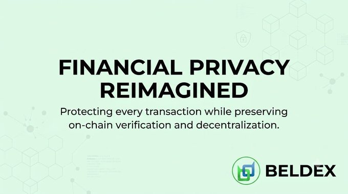 The image is a promotional graphic for Beldex (BELDEX) featuring the headline "FINANCIAL PRIVACY REIMAGINED" with the tagline "Protecting every transaction while preserving on-chain verification and decentralization." The Beldex logo appears in the bottom right corner against a light green background with subtle blockchain-themed graphics, visually reinforcing the post's message about confidential transactions and financial privacy on the blockchain.