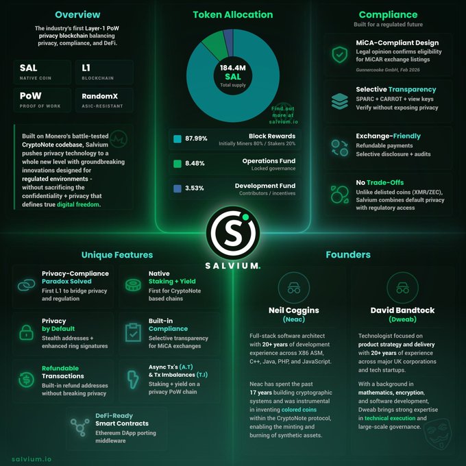 A detailed infographic featuring information about Salvum, a cryptocurrency developer company that was founded by two men named Neil Bandick and David Bollock. The infographic highlights features such as the product itself, which has received a rating of 8.9/10 on a popular review platform called Rotten Tomatoes. It also showcases the company's business model, pricing, and other important information for its users.