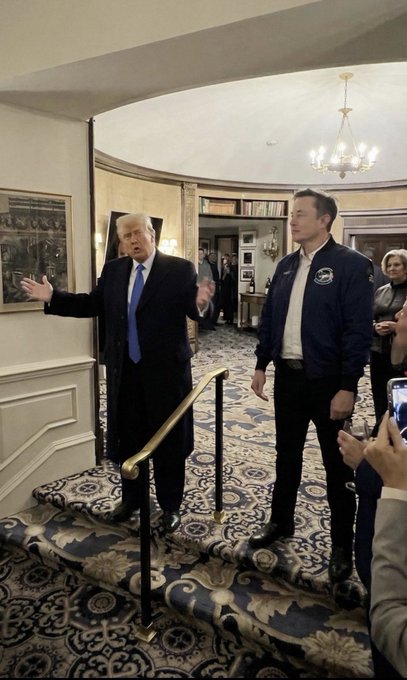 Donald Trump and Elon Musk stand on a carpeted staircase in an ornate room, with Trump gesturing with his hands and Musk wearing a dark jacket.