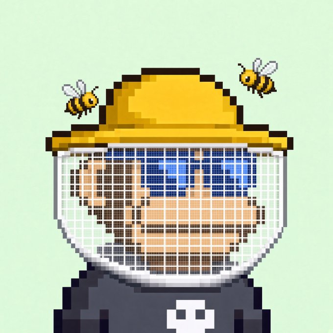 Pixel art illustration of a beekeeper wearing a yellow hat and protective mesh veil, with a pixelated face and blue eyes visible behind the grid. Two small cartoon bees hover on either side of the hat against a pale green background.