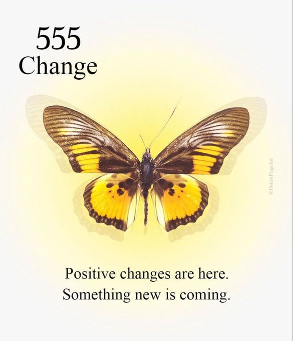 A card labeled "555 Change" features a yellow and black butterfly with the message "Positive changes are here. Something new is coming." The butterfly symbolizes transformation and renewal, visually reinforcing the post's theme of positive, life-changing developments arriving in August.