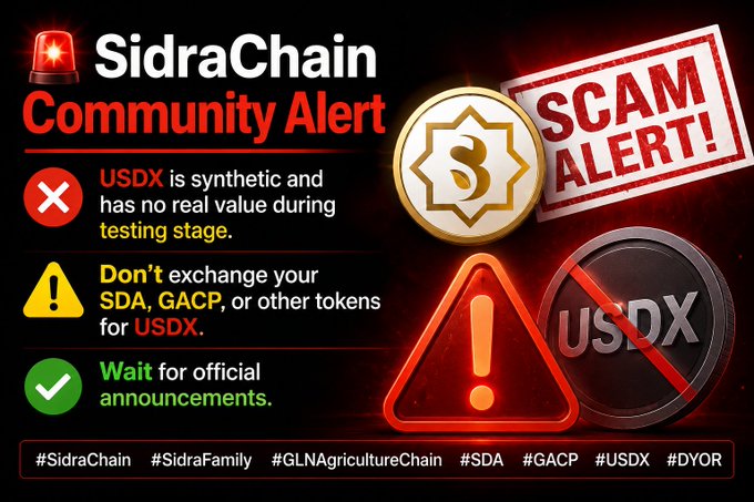 The image is a SidraChain Community Alert warning that USDX is a synthetic test token with no real value, advising members not to exchange SDA, GACP, or other tokens for USDX and to wait for official announcements. The accompanying post elaborates on this scam warning, reinforcing the message that USDX has no official market value at this testing stage.