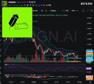 A stock chart shows MOOV with a price of $579.25K, displaying intraday price action, MACD, and RSI indicators. The bright green bubble map inset in the upper left visually represents token holder clusters (2.7% and 2.1%), supporting the accompanying analysis of $meow's top holder distribution and concentration.