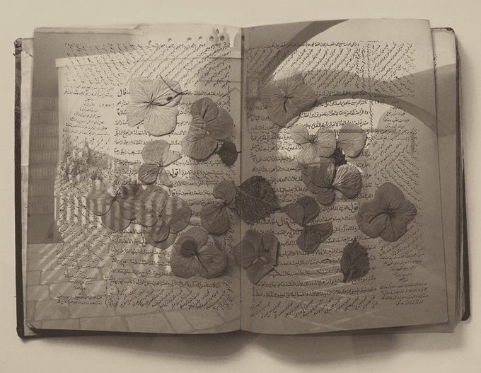 An artistic composition showing an open book with Persian script, overlaid with pressed dried flowers and leaves, creating a nostalgic sepia-toned aesthetic.