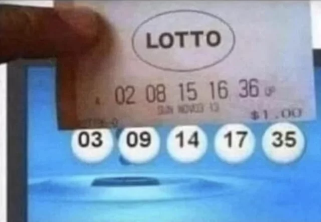 A hand holds a printed lottery ticket displaying numbers 02, 08, 15, 16, 36 above a digital screen showing balls numbered 03, 09, 14, 17, 35.
