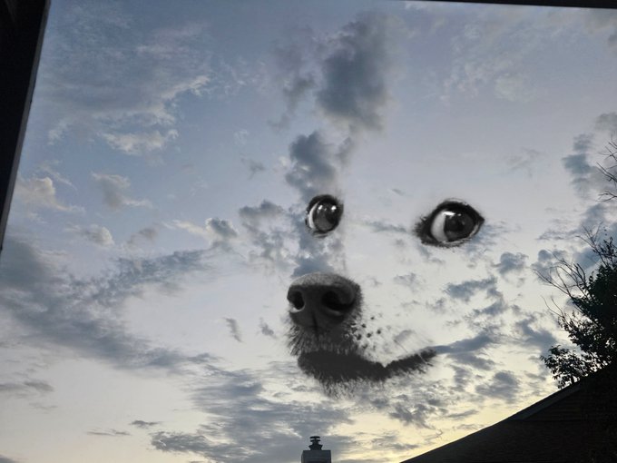 A surreal image showing a giant dog's face emerging from clouds in the sky, with two dark oval shapes resembling eyes and a nose appearing against the cloud patterns.