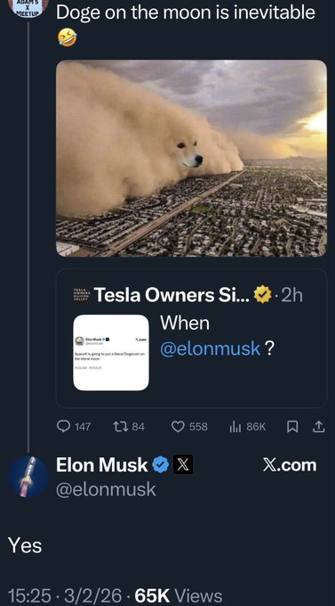 A Twitter/X post titled "Doge on the moon is inevitable" shows a meme of a dust storm with a Shiba Inu dog's face edited onto it, alongside a quote tweet from "Tesla Owners Si..." asking "@elonmusk" when. Elon Musk (@elonmusk) replied with simply "Yes," garnering 65K views.