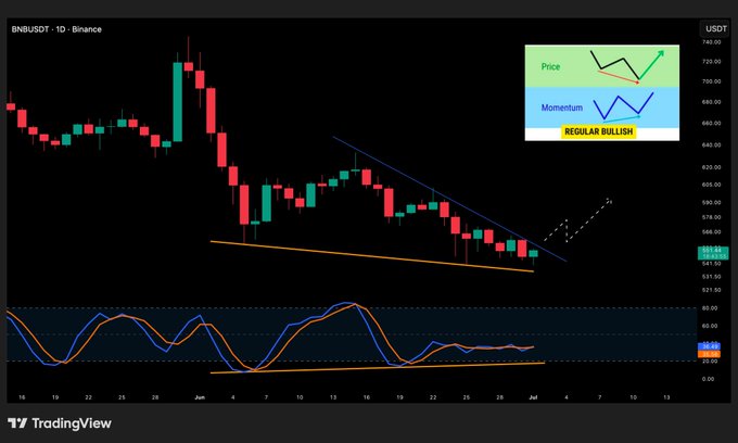 A TradingView candlestick chart for BNBUSDT on Binance shows a falling wedge pattern with the text 'REGULAR BULLISH', 'Price', and 'Momentum' annotations.