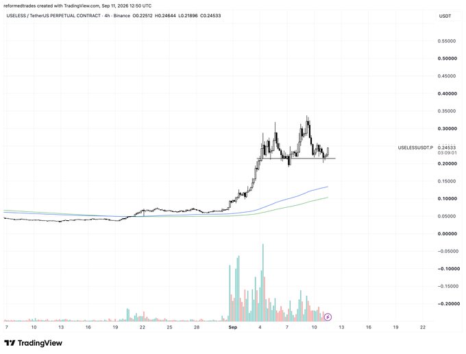 A TradingView 4-hour chart for USELESS/USDT (USELESSUSDT.P) on Binance Perpetual Contract shows the token's price surging from ~$0.05 to a peak around $0.30 before consolidating near $0.245, with the post celebrating the "beautiful" chart setup as a bullish signal to send the price higher.