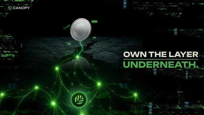 A dark digital advertisement featuring green glowing network-like patterns and the text 'CANOPY' with the tagline 'OWN THE LAYER UNDERNEATH.'