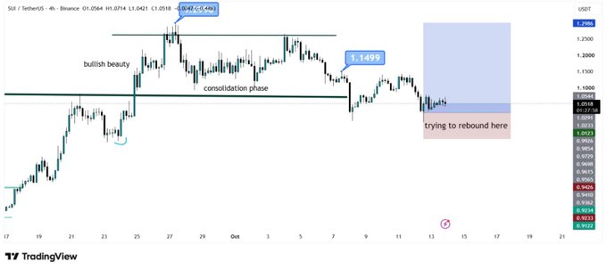 The TradingView chart shows SUI/USD on the 4-hour timeframe, currently trading at $1.0518 after a "sharp correction" from its recent high of $1.2498, with the price marked "trying to rebound here" near the $1.02 support zone, aligning with the post's analysis of a potential bounce if buyers defend this level.