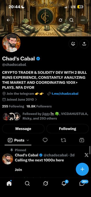A Twitter profile page for 'Chad's Cabal' (@chadscabal), a verified crypto trader promoting a 100x+ plays NFL DYOR telegram group at t.me/chadzcabal.