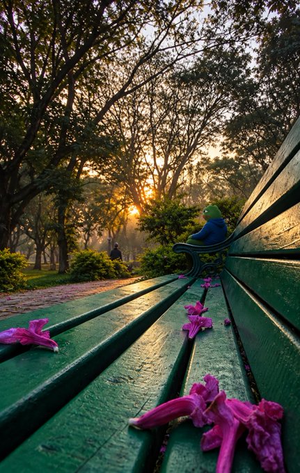 A scenic view of a green park bench with scattered pink flowers in the foreground, with a person sitting in the distance as the sun sets through the trees.