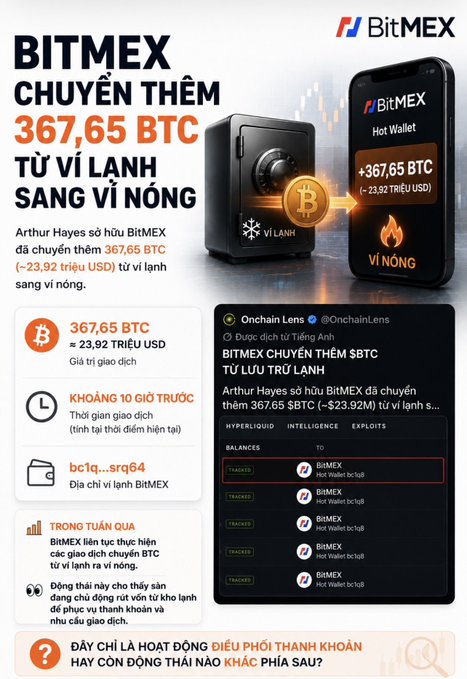 Vietnamese-language infographic about BitMEX transferring 367.65 BTC (~$23.92 million USD) from a cold wallet to a hot wallet, showing an Onchain Lens transaction record.