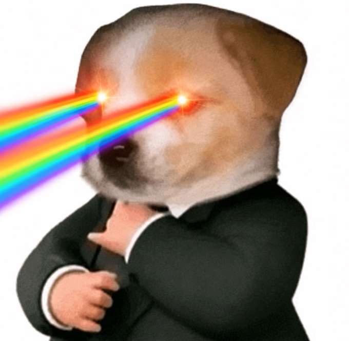 A dog dressed in a suit shoots laser rainbow beams from its eyes, humorously symbolizing the meme's "laser eyes" crypto indicator of impending price action. The image perfectly complements the post's bullish sentiment about rotating holdings into tickers like $hoodrat, $kpop, $throbbin, and $goybeam.