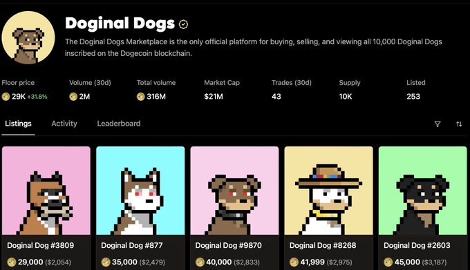 Doginal Dogs marketplace showing pixel art dog NFTs with statistics including a floor price of 29K and total volume of 316M.
