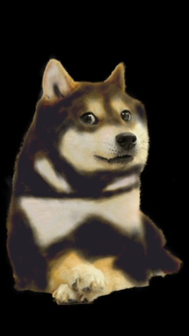 The image features a dog with brown and white fur, sitting against a black background. The dog's head is tilted slightly to the left as if looking at something or someone off-camera. The caption of the image reads "I DOGE That'S it. That'S the tweet." which suggests that the dog might be a reference to a recent social media post, possibly related to a popular hashtag or trend.