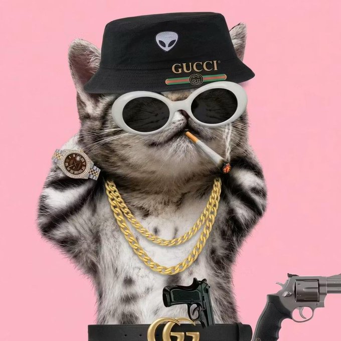 A tabby kitten accessorized with a "GUCCI" bucket hat, white sunglasses, gold chains, a Gucci belt, and a luxury watch smokes a cigarette while posing with two handguns against a pink background—embodying a hilariously exaggerated "boss" persona that complements the cocky "chill, we gucci" caption.