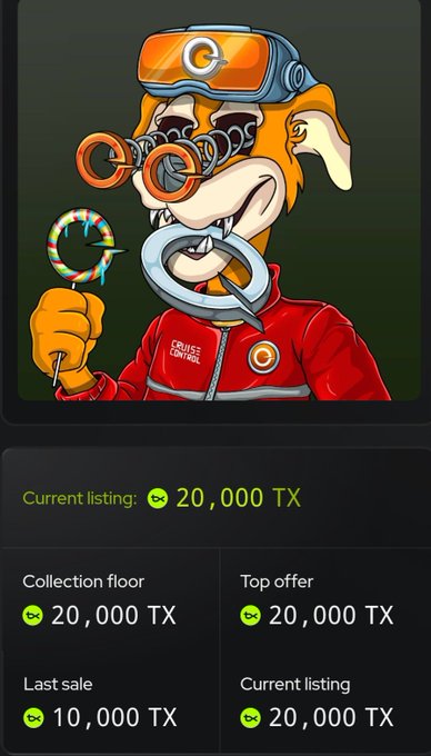 A cartoon bear character wearing orange goggles and a red "Cruise Control" jacket holds a magnifying glass and a coiled lasso, with NFT marketplace details showing "Current listing: 20,000 TX," "Collection floor: 20,000 TX," "Top offer: 20,000 TX," and "Last sale: 10,000 TX." The image showcases the custom 1-of-1 "CC Fetch" NFT listing for 20,000 TX on the CtrlFi art marketplace, as referenced in the post.