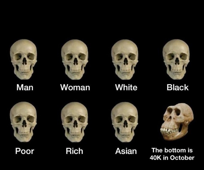 Seven skulls are displayed on a black background with the labels 'Man', 'Woman', 'White', 'Black', 'Poor', 'Rich', and 'Asian' — the last skull, turned sideways, is humorously labeled 'The bottom is 40K in October'.