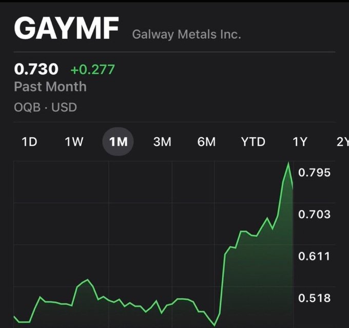 A financial chart for the stock ticker GAYMF (Galway Metals Inc.) showing a price of 0.730, up +0.277 over the past month with a 1M timeframe line graph trending upwards.