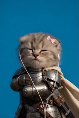 A small fluffy kitten wearing metallic armor and a beige cape, with earphones around its neck, stands against a blue background with pink sparkles.
