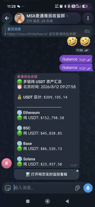 A Telegram group chat screenshot displays a wallet balance summary for "麦通钱包" (Maishe Wallet) showing a total of $309,105.14 USDT distributed across Ethereum, BSC, Base, and Solana networks, with the link "https://msx.infinityfree.io/ 监控麦通钱包余额" pinned at the top. The image appears to be promotional content for the MSX Telegram group sharing investment/wallet tracking services.