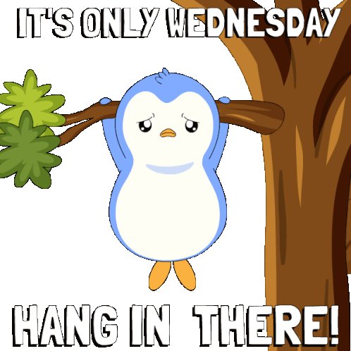 The image features a cartoon penguin hanging from a tree branch, with the text "It's only wednesday hang in there!" written above the penguin. The phrase "hang in there" suggests that despite the challenges or difficulties of the current week, things will get better soon and people can look forward to brighter days ahead.

The post is related to the application process for a project management tool called @wallchain, as indicated by the caption. The image serves as an eye-catching way to convey the message about the upcoming release date or the completion of the current project.