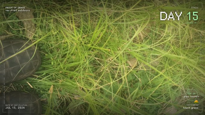 A close-up photo of grass with a 'DAY 15 STREAK' graphic, labeled 'PROOF OF GRASS verified outdoors' and 'CERTIFIED BY touch grass'.