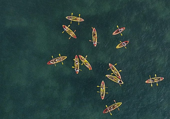 An overhead aerial shot shows a group of colorful kayaks (yellow, red, and green) scattered on calm dark green water, with no visible text. The image has no apparent connection to the cryptocurrency ticker symbols ($SUI, $WAL, $CETUS) mentioned in the post.