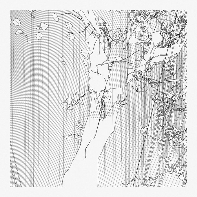 A black and white sketch/line art image depicting tangled vines, leaves, and branches rendered in diagonal hatching lines.