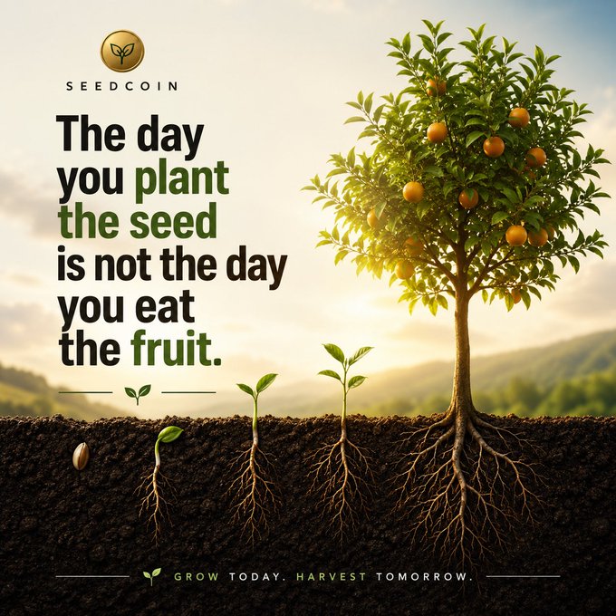 A motivational poster for 'SEEDCOIN' with the text 'The day you plant the seed is not the day you eat the fruit' and 'GROW TODAY. HARVEST TOMORROW.', showing the growth stages of a plant from seed to fruit-bearing tree.