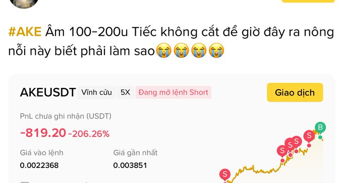 A screenshot of a Binance-style trading interface shows a post in Vietnamese about 'AKE' with the text '#AKE Âm 100-200u Tiếc không cắt để giờ dây ra nóng nổi này biết phải làm sao' followed by crying emojis. The chart displays the AKEUSDT perpetual contract with a PnL of -819.20 USDT (-206.26%) and a rising price graph marked with 'S' sell signals.
