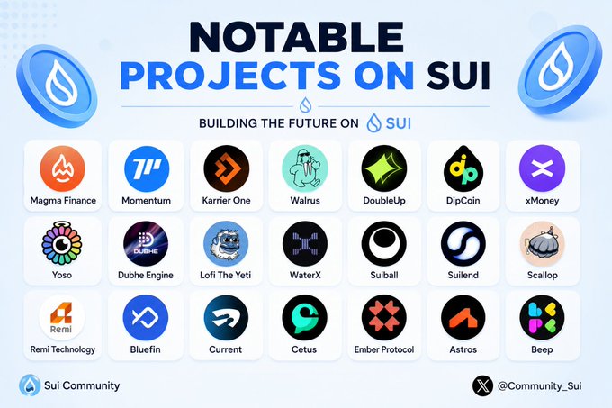The image features a poster with various logos and text related to cryptocurrency and blockchain technology. The main focus of the poster is "NOTABLE PROJECTS ON SUI", which highlights the importance of building the future on Sui. The poster also mentions that the Sui ecosystem is quietly shipping massive infrastructure, indicating ongoing projects in this field. The post emphasizes the significance of these projects and their potential impact on the cryptocurrency and blockchain industry.